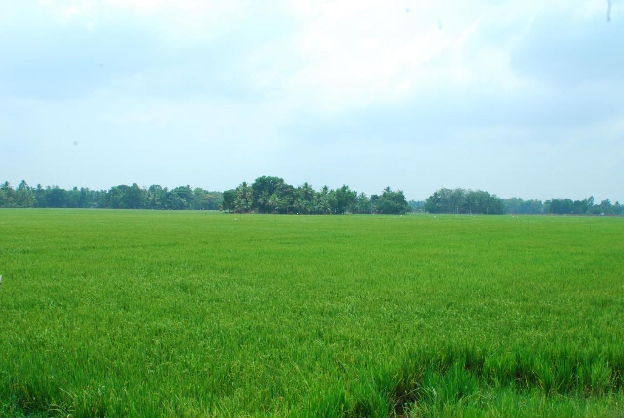 Triveny River Palace Hotel Alappuzha Kültér fotó